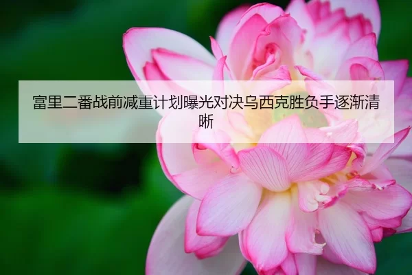 富里二番战前减重计划曝光对决乌西克胜负手逐渐清晰