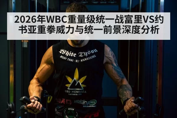 2026年WBC重量级统一战富里VS约书亚重拳威力与统一前景深度分析